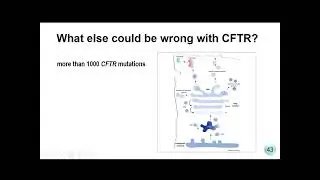114-1 STMB Cystic Fibrosis Treatment