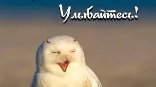 Посиделки 2026.02.19