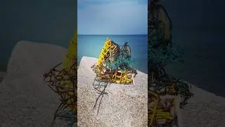 👻 #GHOSTGEAR #2025Week3 #AssemblageArt After storm #MakeArt #GUARDIANSoftheSEA🌊🌿 #phycologyfoodie