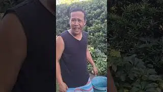 Baka may nag pyansa#NoelskeyTv #youtube #newcomedy #youtubeshorts #joke #comedymoments #funny