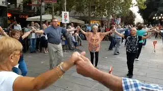 Aplec de la Sardana a Terrassa  2017