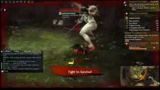 Necromancer vs Champion Blighted Diarmid/ GW2