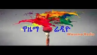 ምክር ለአብይ አህመድ አስተዳደር ----ከዶ/ር ተቀዳ አለሙ [ዋዜማ ራዲዮ]