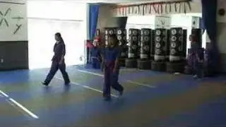 Laguna Karate Demo