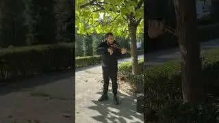 Cenciu Ionut Constantin violin street