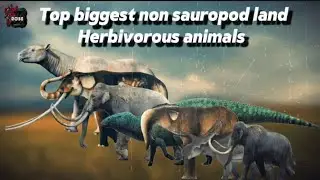 Biggest Non Sauropod Land Herbivores
