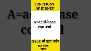 Excretory।1Shot Tricks।kidney functions|Class 11|NEET 2021|Biology tricks for NEET।Baba biology