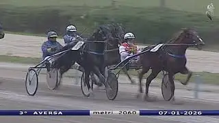 Aversa trotto 7 Gennaio 2026 - 3° Corsa
