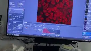 Performance comparison (ZEISS) - Part 13/14 