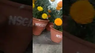 Nehru Hospital