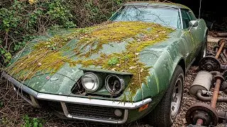 Muscle Cars From the 60s Abandoned in the USA &ndash; Shocking!