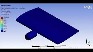 ANSYS AUTODYN SPH LAGRANGE BIRDSTRIKE SIMULATION, KUŞ &Ccedil;ARPMA ANALİZİ