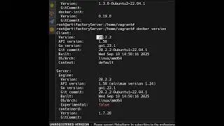 Docker Client vs Server Version Explained