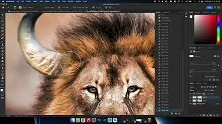 Chimera Tutorial 2023