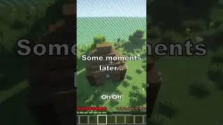 Minecraft 60 Second Hide & Seek Challenge #minecraft #shorts #challenge