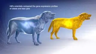 Hill's Prescription Diet Metabolic: Future Of Pet Weight Management