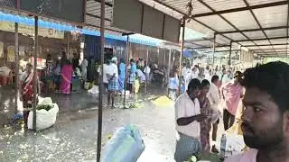 தைப்பொங்கல் வியாபாரம் உசிலை 🌷🌷🌷🌷🌷🌷🌷🌷🌷🌷🌷🌷🌷