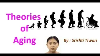 Theories of Aging / Why do we Age / Aging / Classification of Theory of Aging