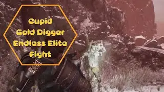Banishers: Ghosts of New Eden | Cupid Gold Digger Endless Elite Fight