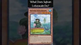 What Does Sylvan Lotuswain Do? (Yugioh Cards Explained for Easy Deck Building)