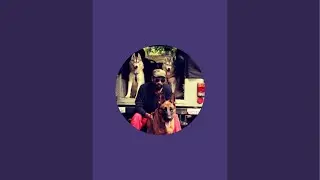 Good Morning Guys ☀️ Monomark is Live | Real Dog Behaviour Training