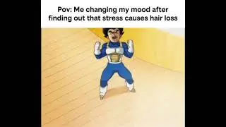 POV: CHANGING MOOD AFTER LEARNING STRESS CAUSES HAIR LOSS &ndash; VEGETA RAGE!