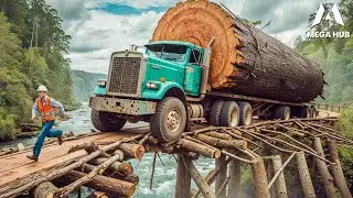 Most Dangerous Logging Truck Driving Skills | Fastest Chainsaw Tree Cutting! #13