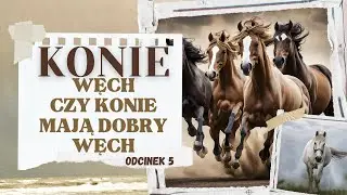 Konie węch