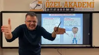 23 Teknikler Beyin Fırtınası, Fikir Taraması