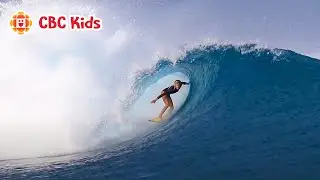 What in the Sports? | Surfing | CBC Kids