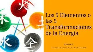 Los 5 Elementos o las 5 Transformaciones de la Energ&iacute;a