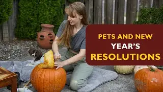 Pets and New Year’s Resolutions | 5 Simple Goals to Improve Your Pet’s Health in 2026