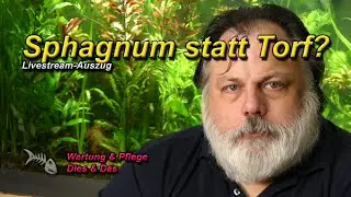 Eignet sich SPHAGNUM (Torfmoos) ALS ALTERNATIVE ZU TORF?