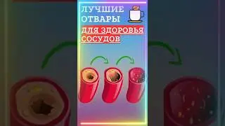 Лучшие отвары для здоровья сосудов! 🍵 #shorts