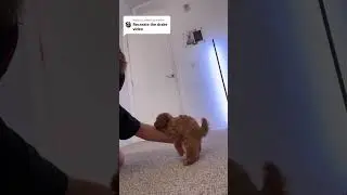 Ребята, вы больные...