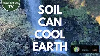 We've Got a Planet to Save | Walter Jehne and Stephen Curtain #soilscience