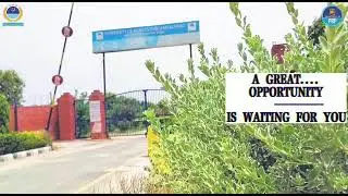 #Admissions Open 2021-2022 in University of Agriculture Faisalabad Sub Campus Toba Tek Singh
