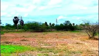 திருநெல்வேலியில் இருந்து திருநெல்வேலி நேஷனல் ஹைவே 9360070041