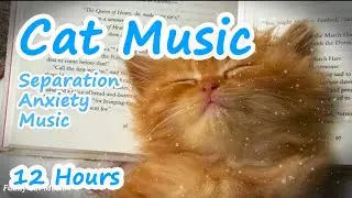 😺Техники релаксации для вашей кошки💗 Наука музыкальной терапии. Кошачья музыка