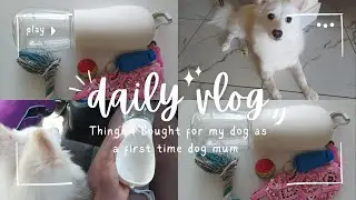 Huge January Puppy Haul: Must-Have & Non-Essential Items for New Dog Moms!.