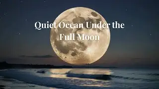 Quiet Ocean Under the Full Moon | Soothing Night Music for Deep Sleep & Calm
