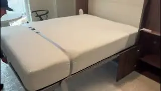 ROYAL Queen Wall Bed with Bookcase and Hidden Desk