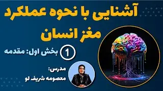 قسمت اول: معرفی مکانیزم مغز انسان: پایه‌ای برای طراحی اصولی اسلایدهای ارائه و تدریس بهتر