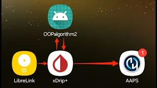 Android APS (AAPS) + Freestyle Libre 2 i&ccedil;in gereken kurulumlar (xDrip+, OOPalgorithm2)