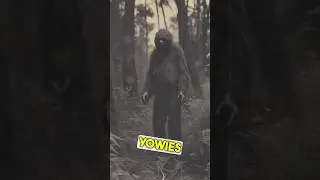 Intriguing Insights from a YOWIE Believer | The Australian Bush Enigma