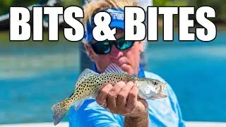 Redfish Fishing Videos and Space Coast Kingfish and IRL Clam Project