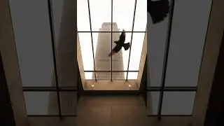Przyw&oacute;dcy kłamią... Prędkość nie