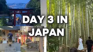 Day 3 in Japan (Weather Shrine, Kamakura, Local Bars, Enoshima Island)