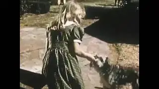 FRANK AND HIS DOG -1952 - Children's social guidance film