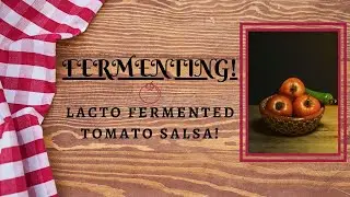 #199 Fermenting Lacto-Fermented Tomato Salsa